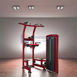 دستگاه Dip & Pull-Up Assist