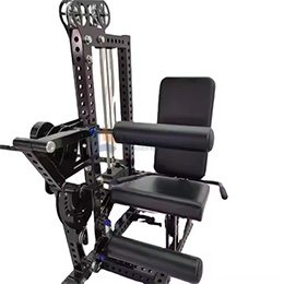 Leg Curl & Leg Extension